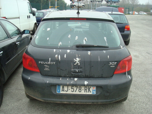 Nuotrauka 3 - Peugeot 307 I Europa 2004 m dalys