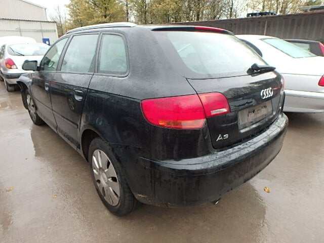 Nuotrauka 8 - Audi A3 8P 2007 m dalys