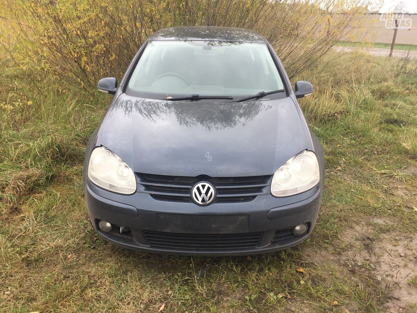 Volkswagen Golf V 2006 m dalys