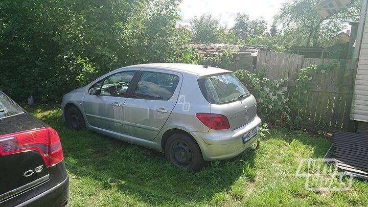 Peugeot 307 I 2004 m dalys