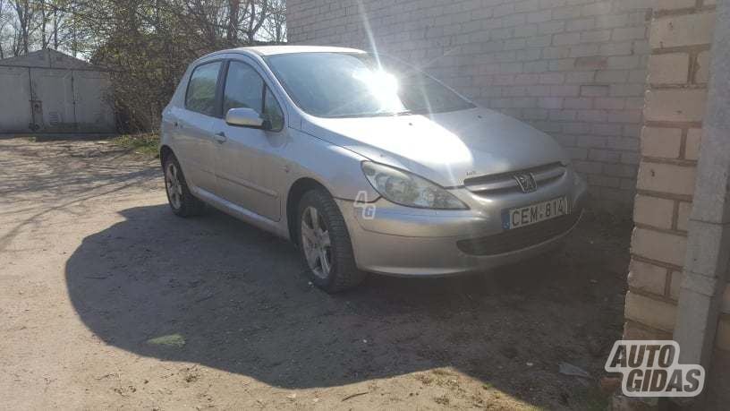 Peugeot 307 I 2004 m dalys