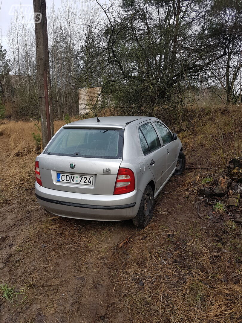 Skoda Fabia 2003 m dalys