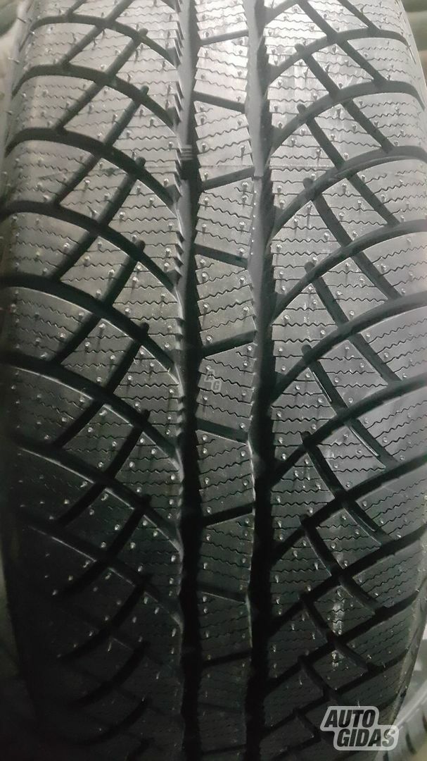 Sunny NW 611 R15 universal tyres passanger car