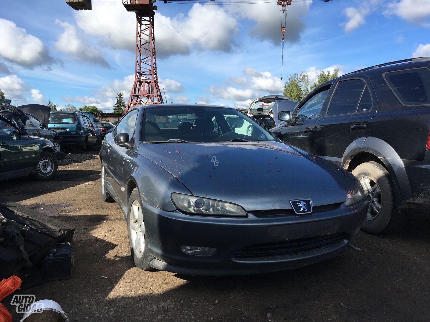 Peugeot 406 1999 m dalys