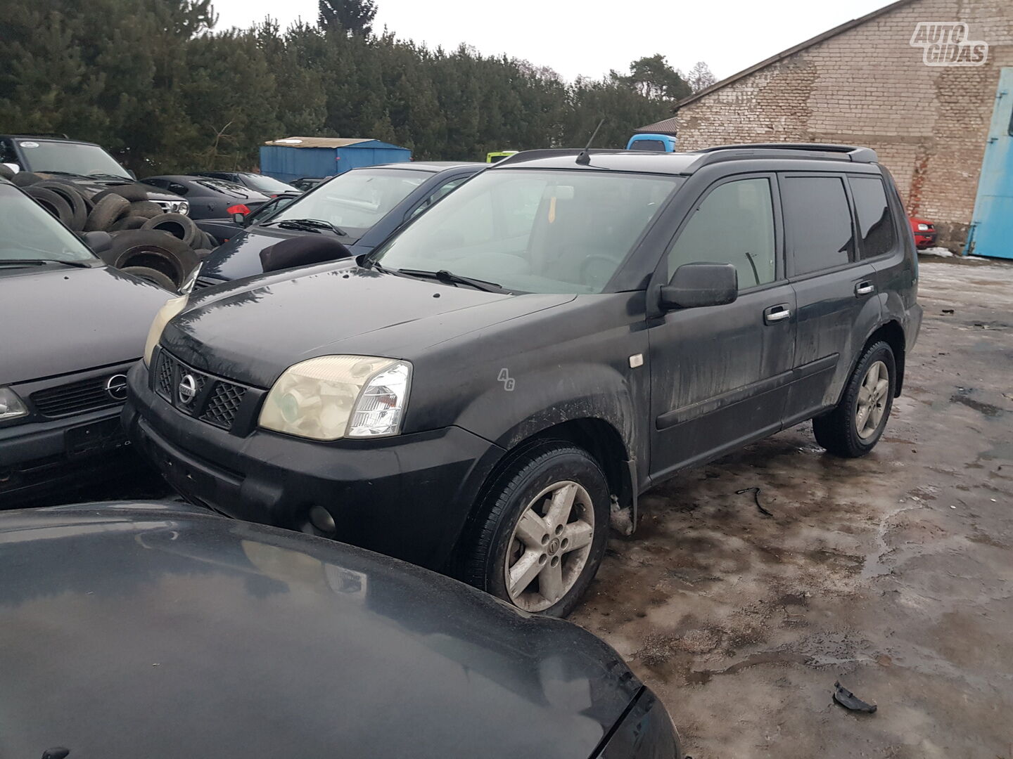 Nissan X-Trail 2002 m dalys