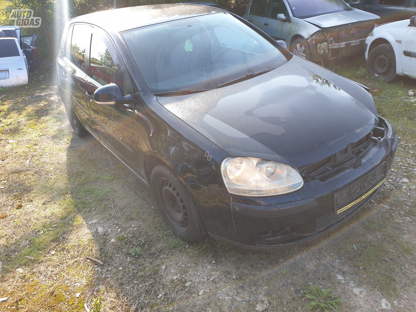 Volkswagen Golf 2006 m dalys