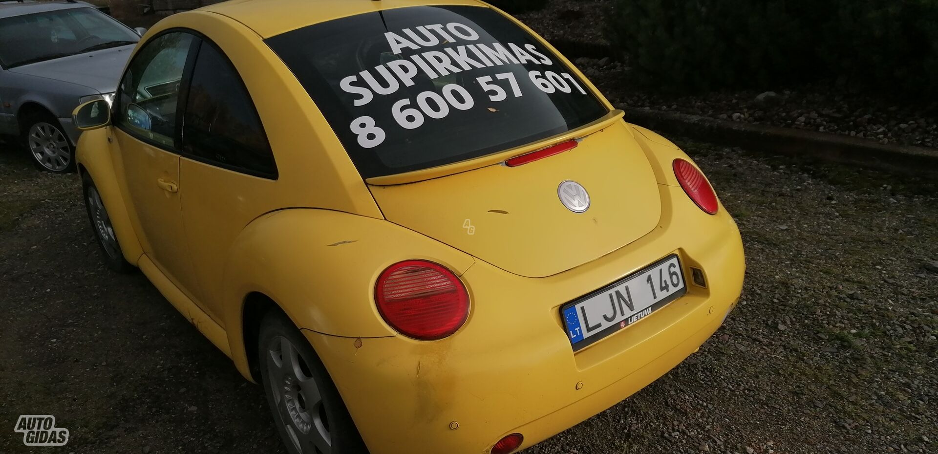 Volkswagen Beetle 2000 m Hečbekas