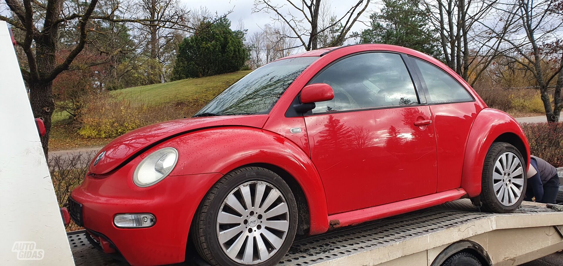 Volkswagen Beetle 2002 m dalys
