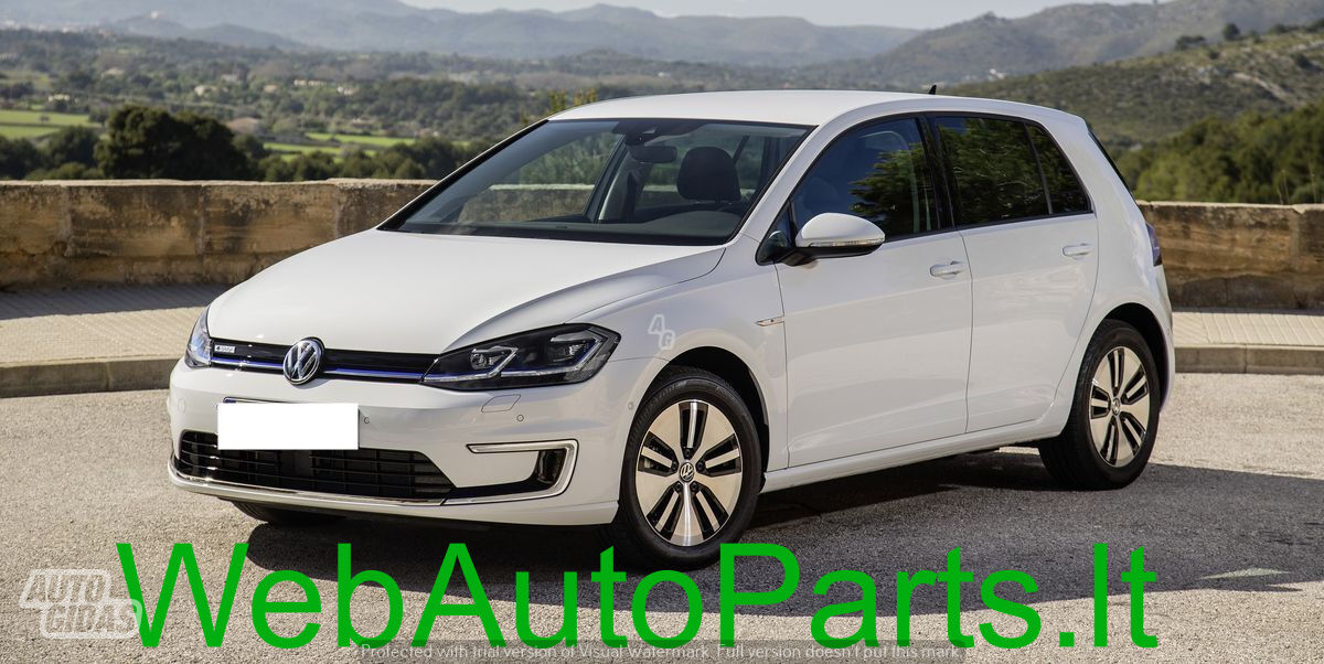 Volkswagen E-Golf 2020 m dalys