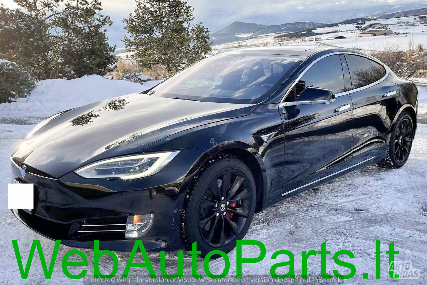 Tesla Model S 2020 m dalys