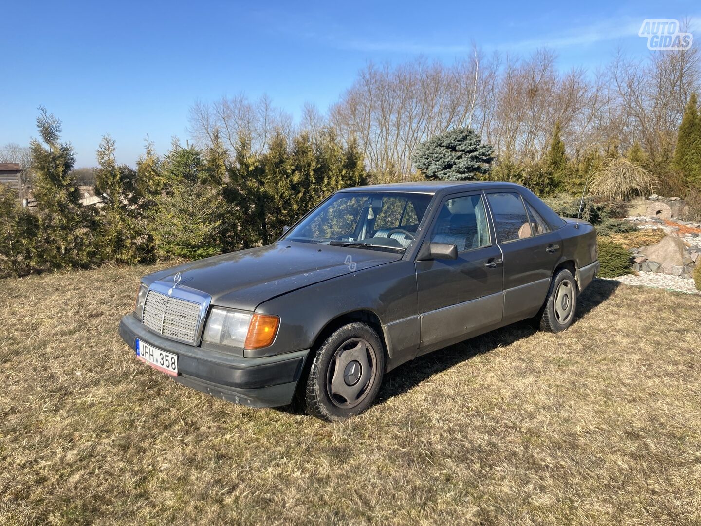 Mercedes-Benz 250 1989 y Sedan