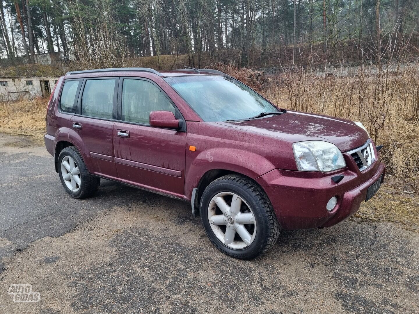 Nissan X-Trail I 2003 m dalys