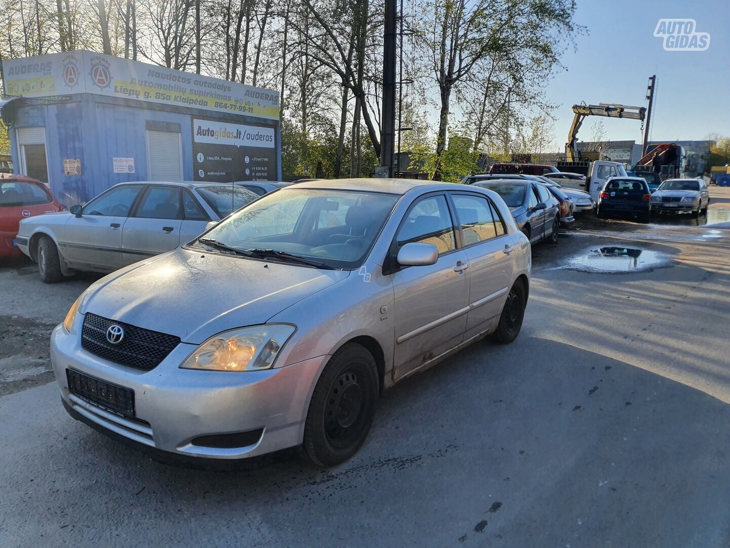 Toyota Corolla SERIA E12 1.6 BENZINAS 81 KW 2004 г запчясти