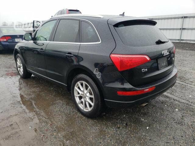 Audi Q5 2010 m dalys