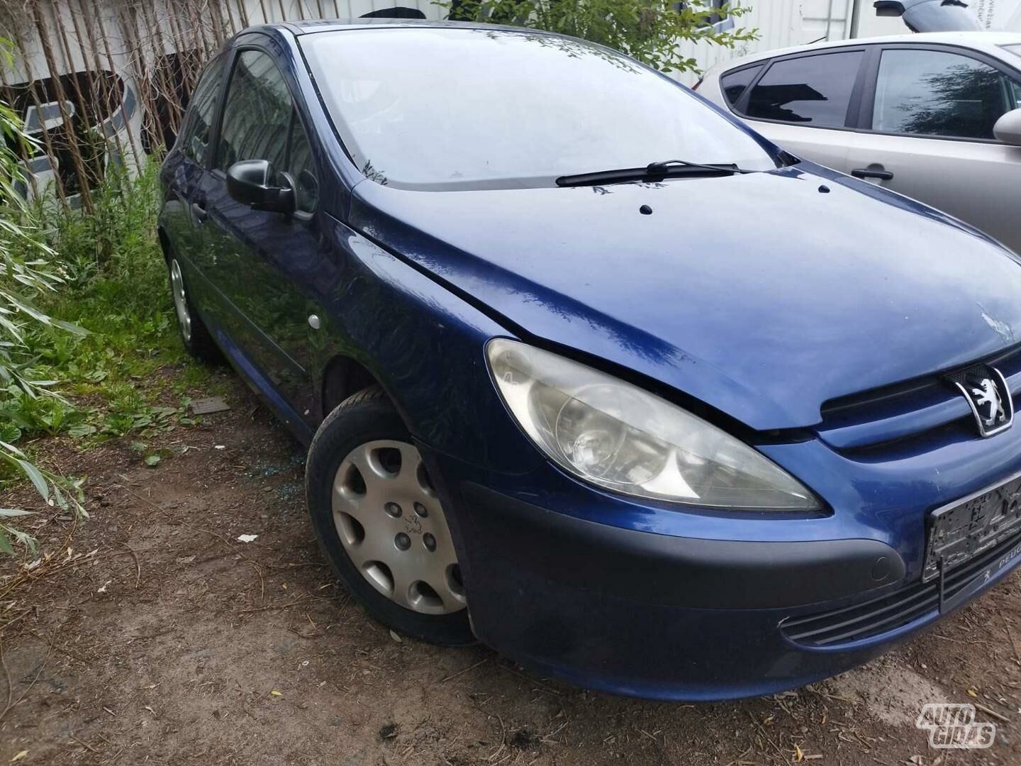 Peugeot 307 2002 m dalys