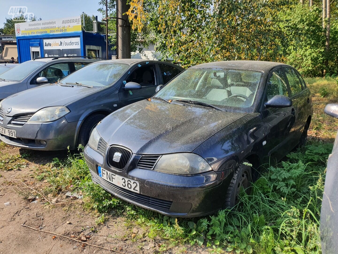 Seat Ibiza 1.4 BENZINAS 55 KW  2003 г запчясти