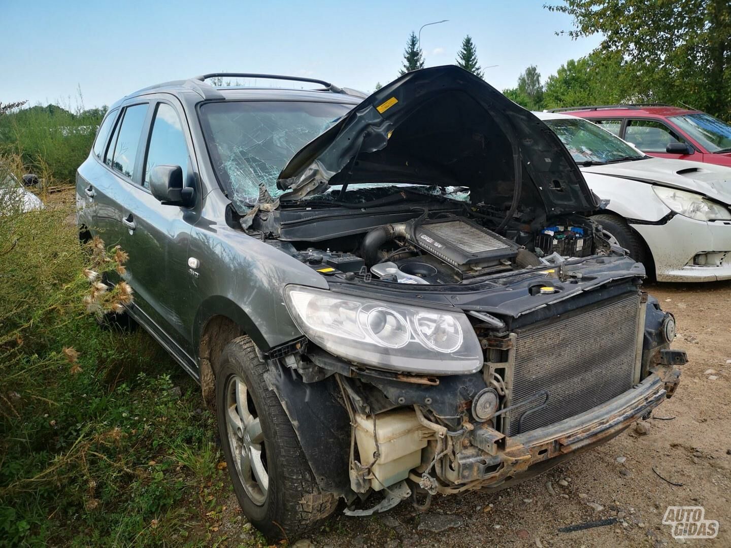 Hyundai Santa Fe 2006 y parts