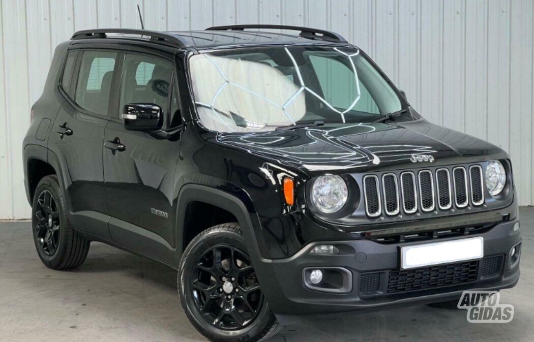 Jeep Renegade 2015 m dalys