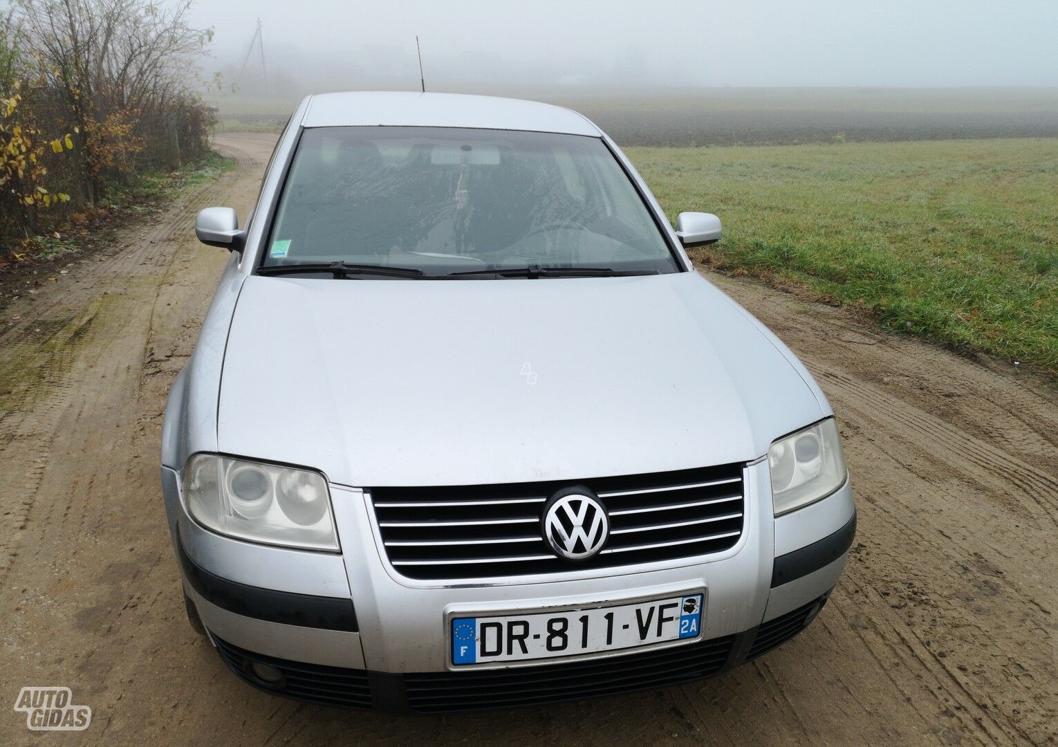 Volkswagen Passat 2001 m dalys