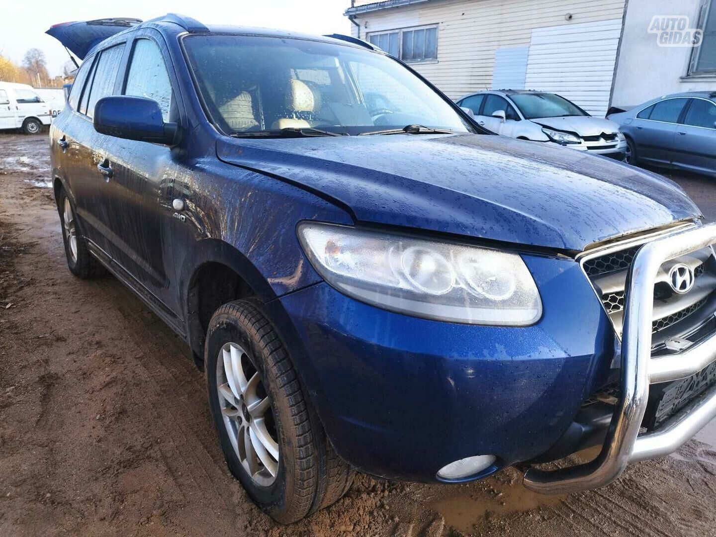 Hyundai Santa Fe 2007 m dalys