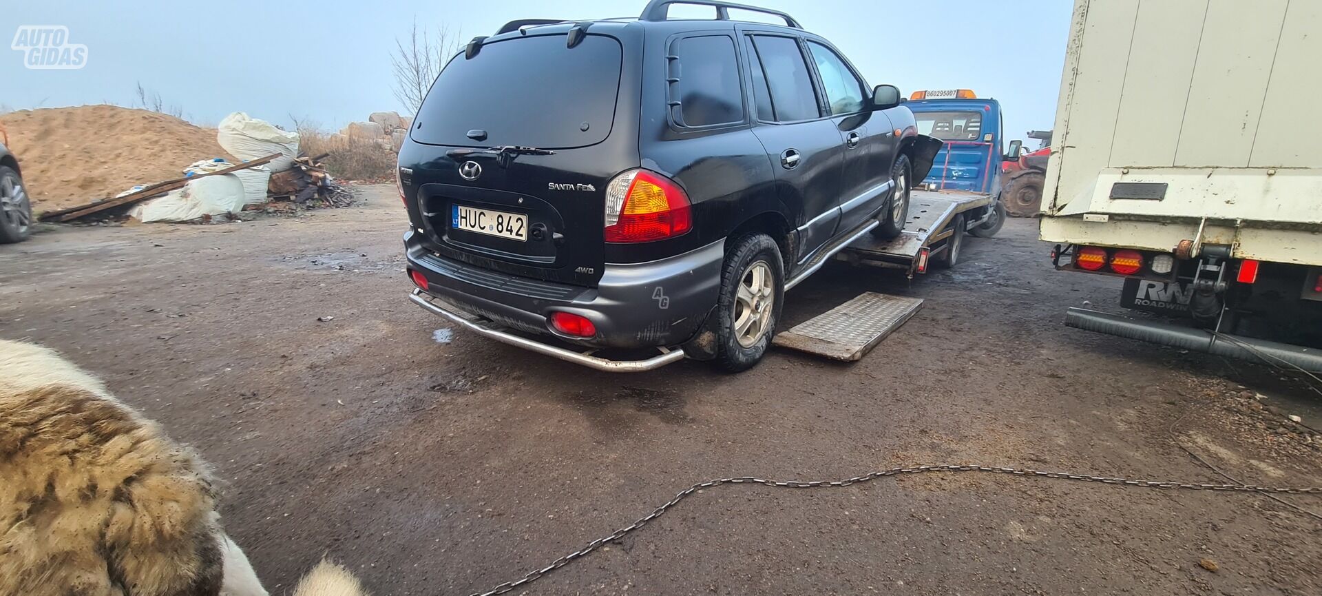 Hyundai Santa Fe 2003 m dalys