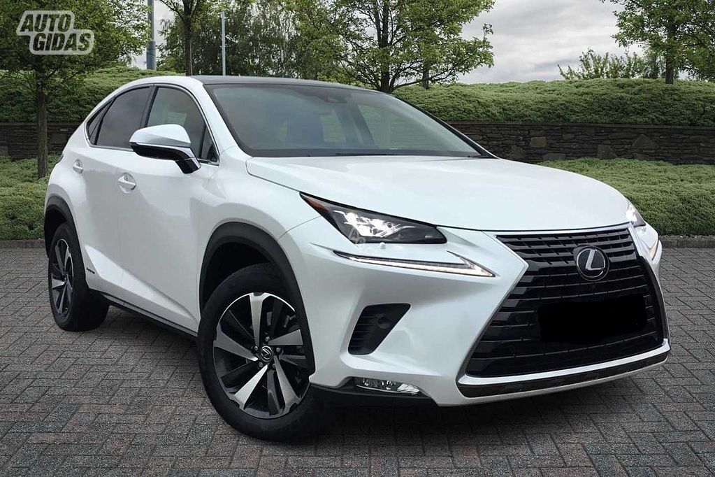 Lexus Nx 300H 2022 m dalys