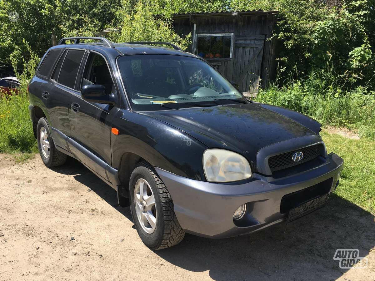 Hyundai Santa Fe I 2001 m dalys