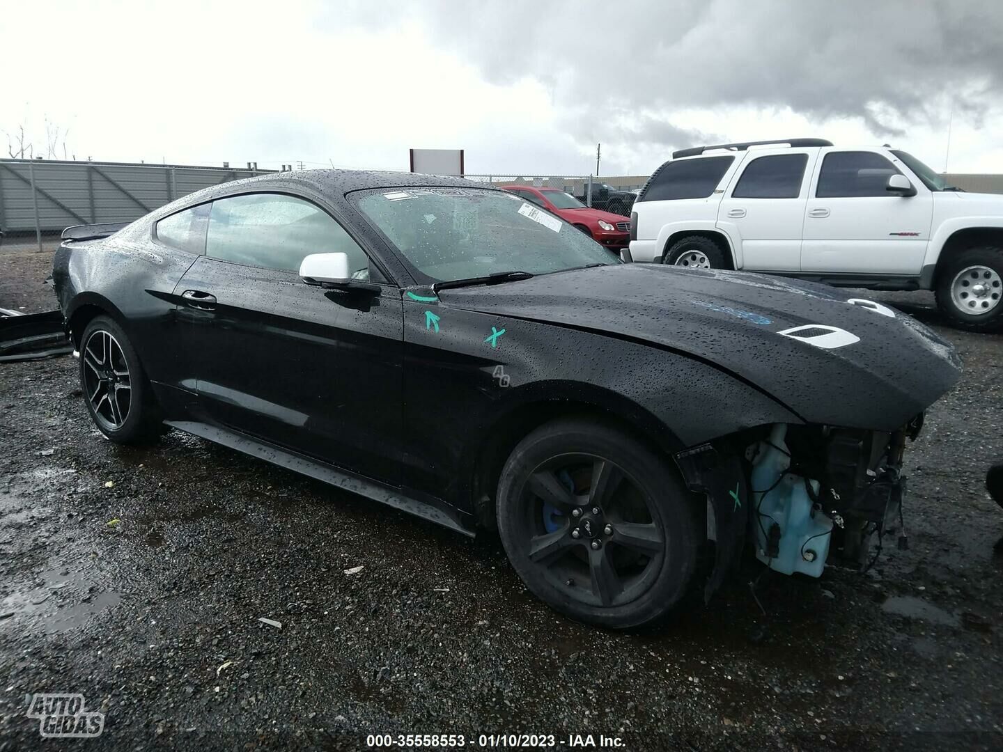 Ford Mustang 2019 y Coupe