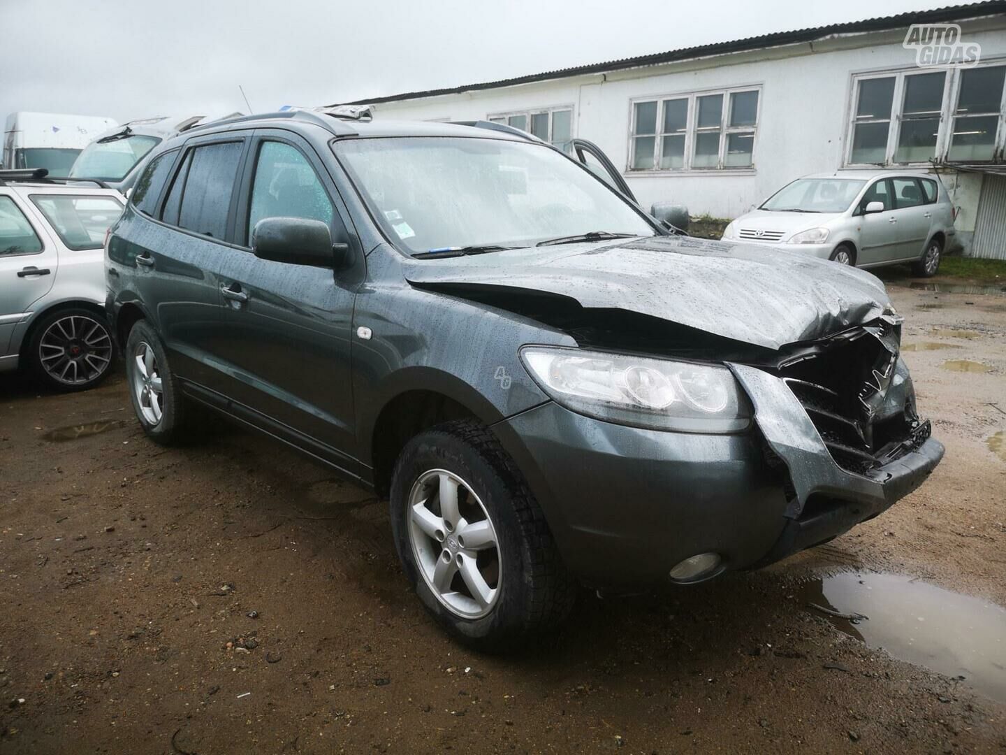 Hyundai Santa Fe 2006 m dalys