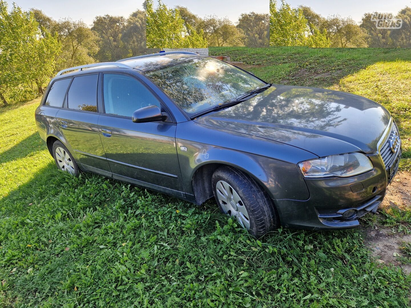 Audi A4 B7 LX7Z 2007 m dalys