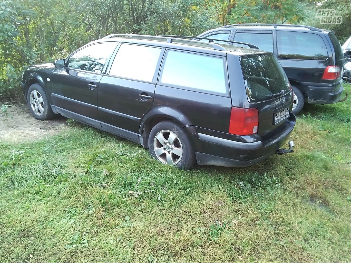 Volkswagen Passat 1998 m dalys