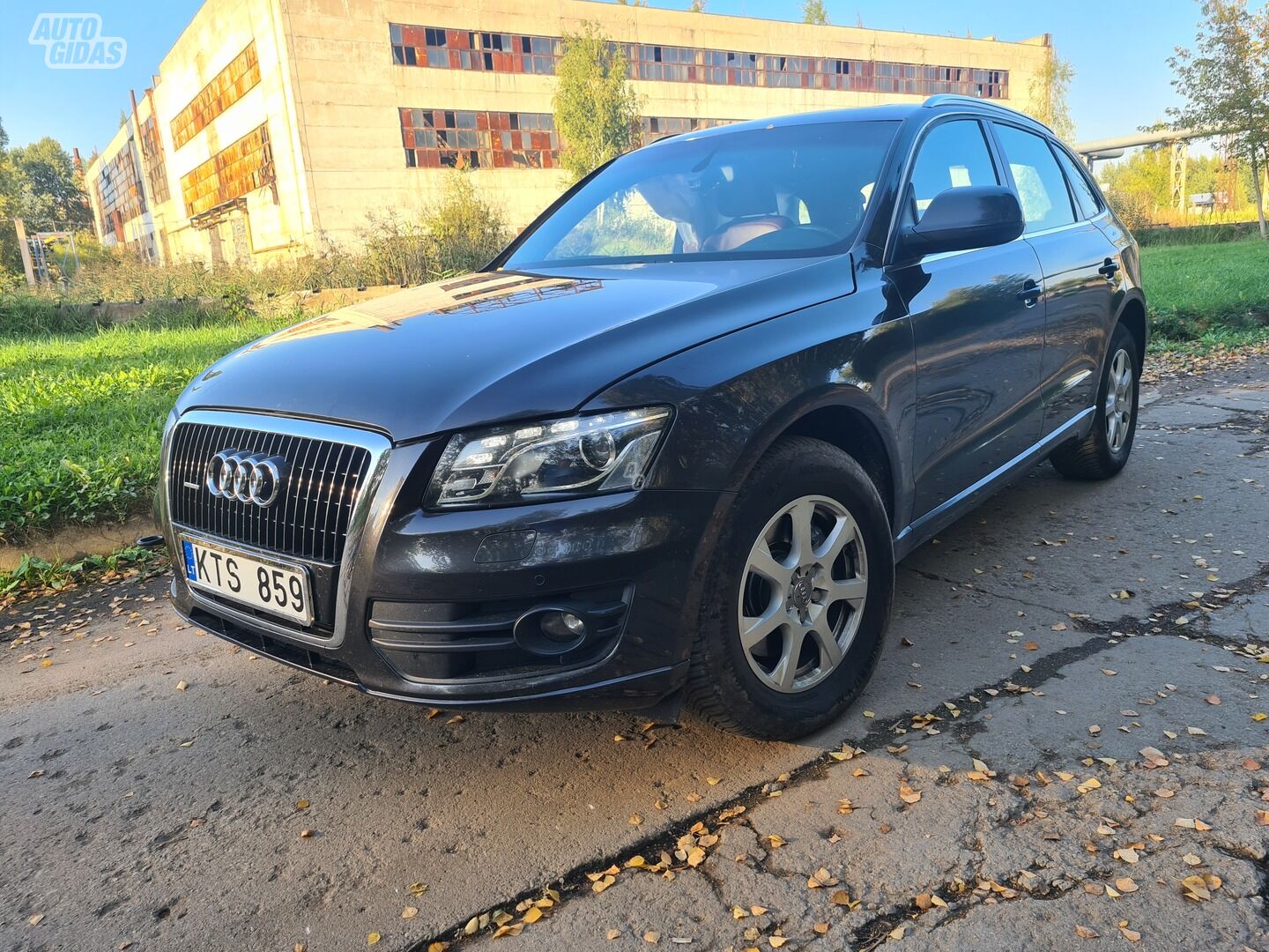 Audi Q5 2010 m dalys