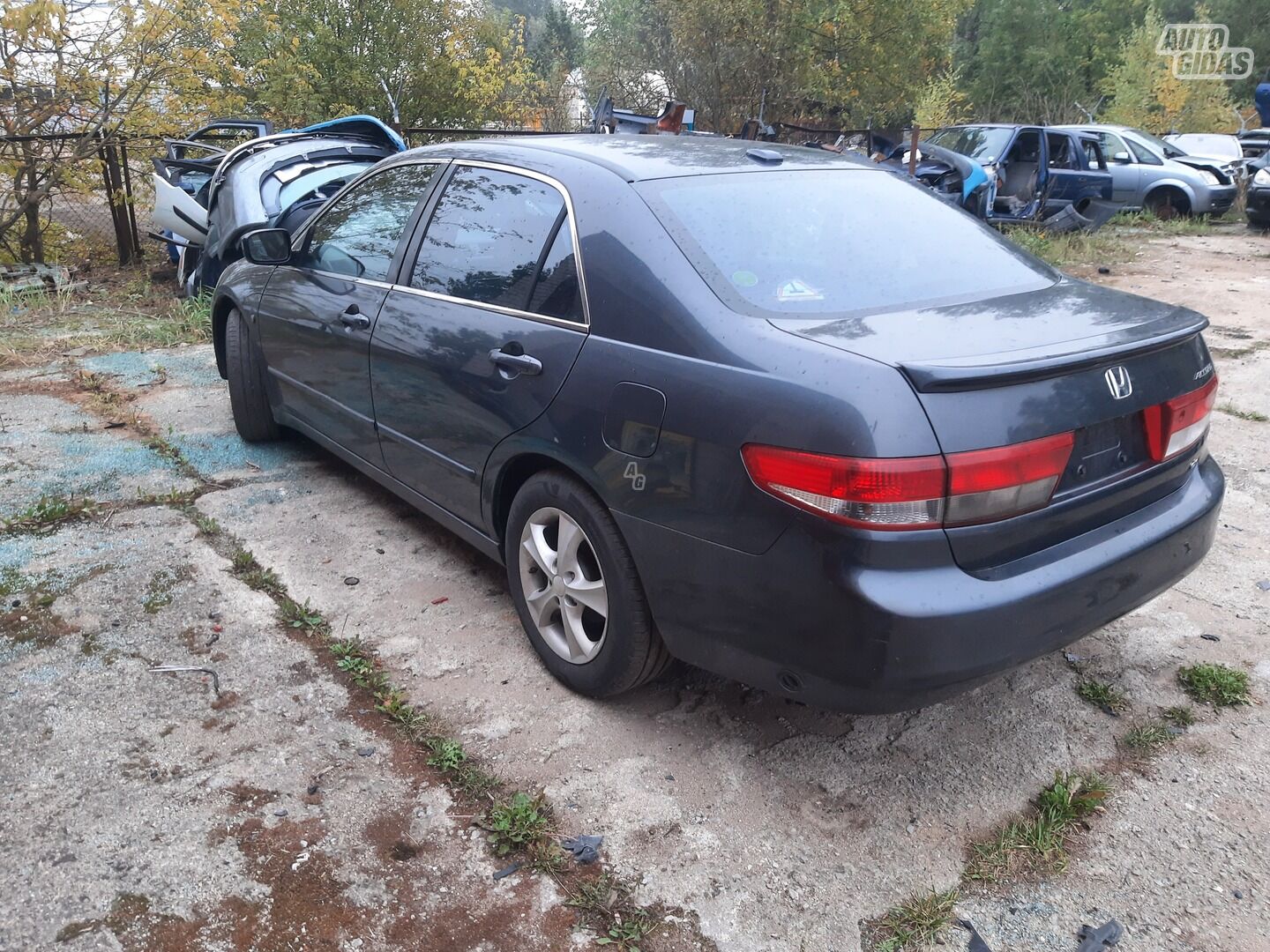 Honda Accord 2003 m dalys