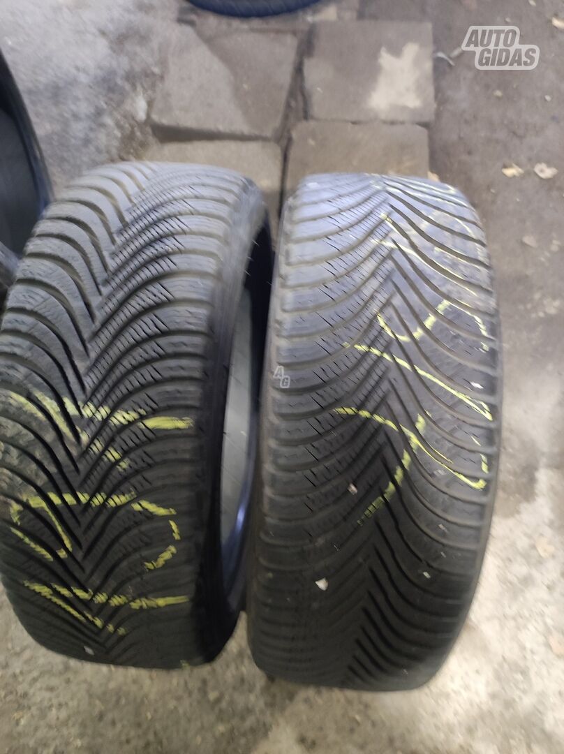 Michelin R17 žieminės padangos lengviesiems