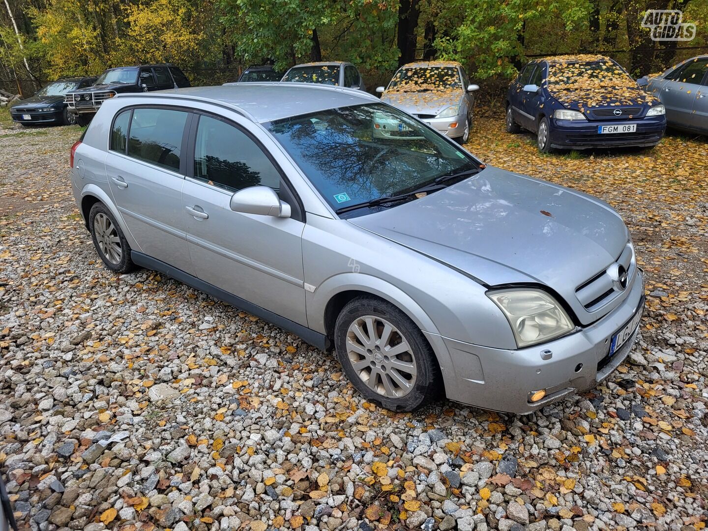 Opel Signum 2004 y parts