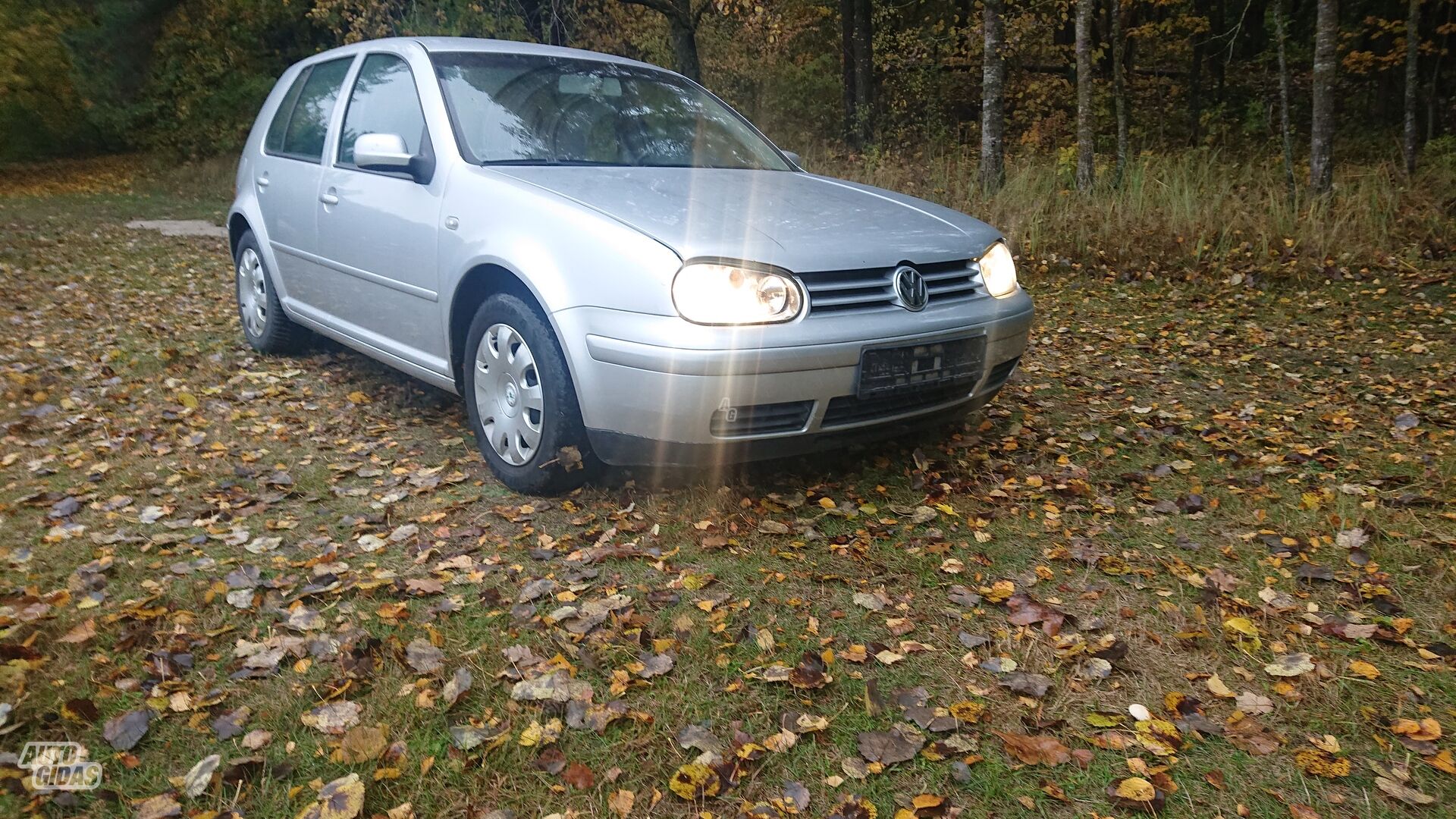 Volkswagen Golf 2003 m dalys