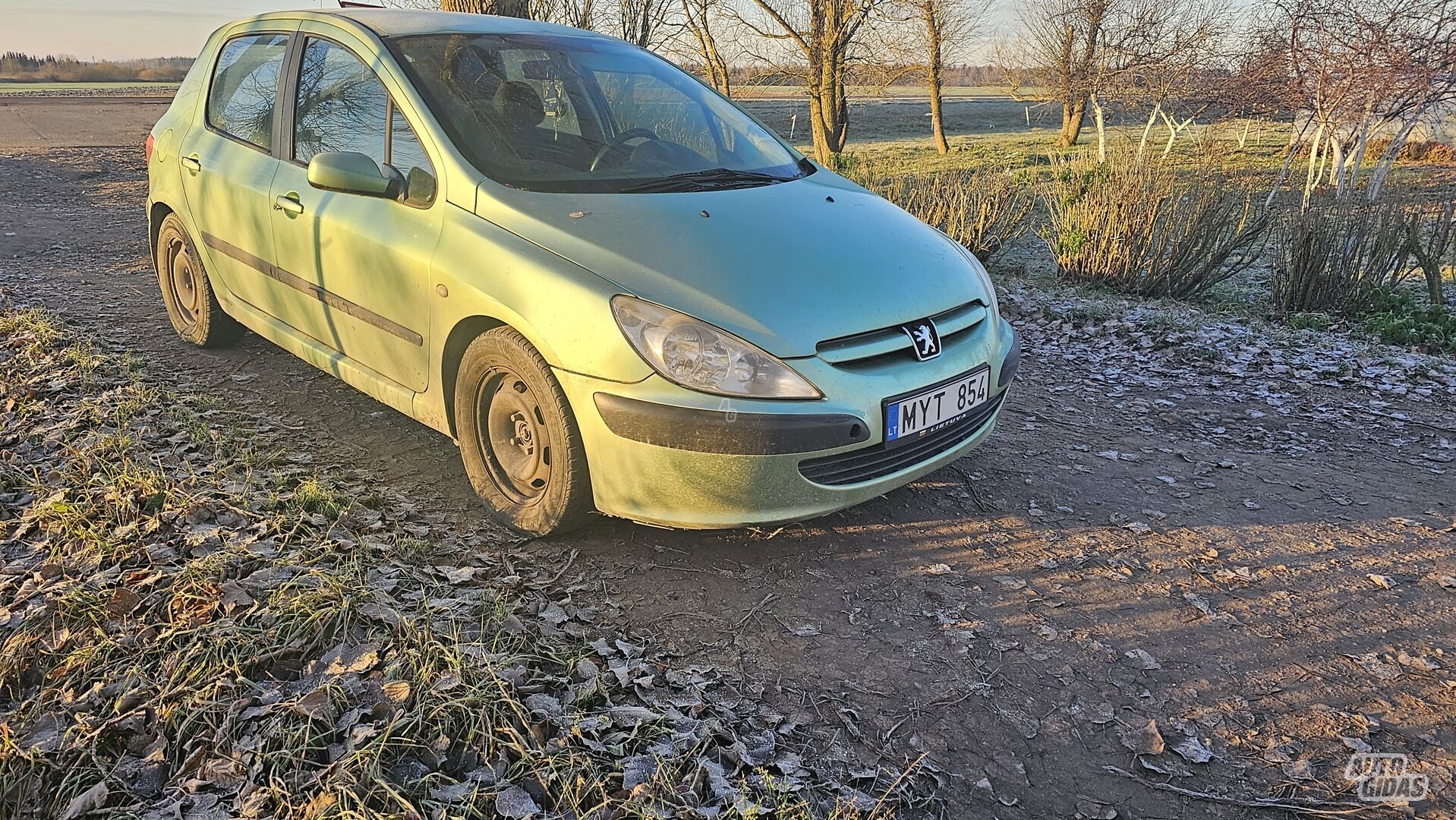 Peugeot 307 2002 m dalys