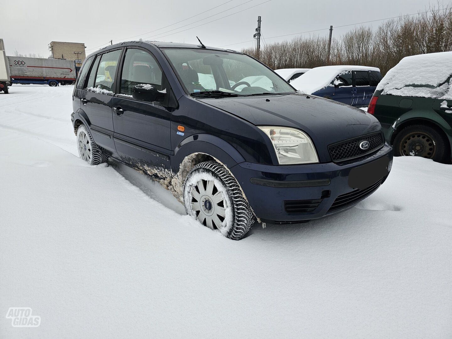 Ford Fusion 2004 m Hečbekas