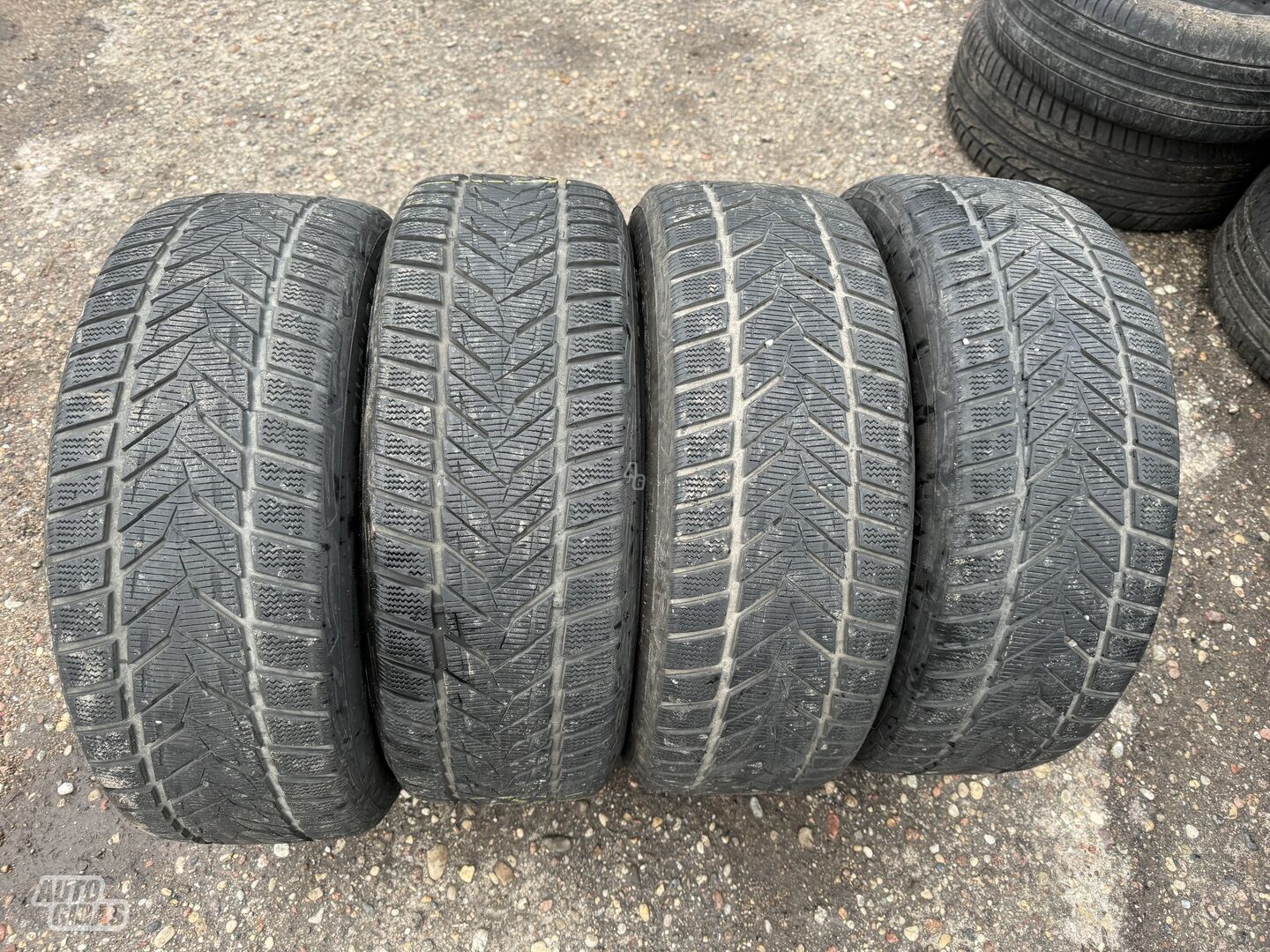 Vredestein Siunciam, 2018m R18 universal tyres passanger car