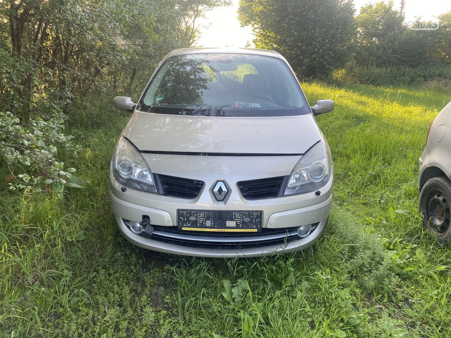 Renault Scenic 2006 m dalys