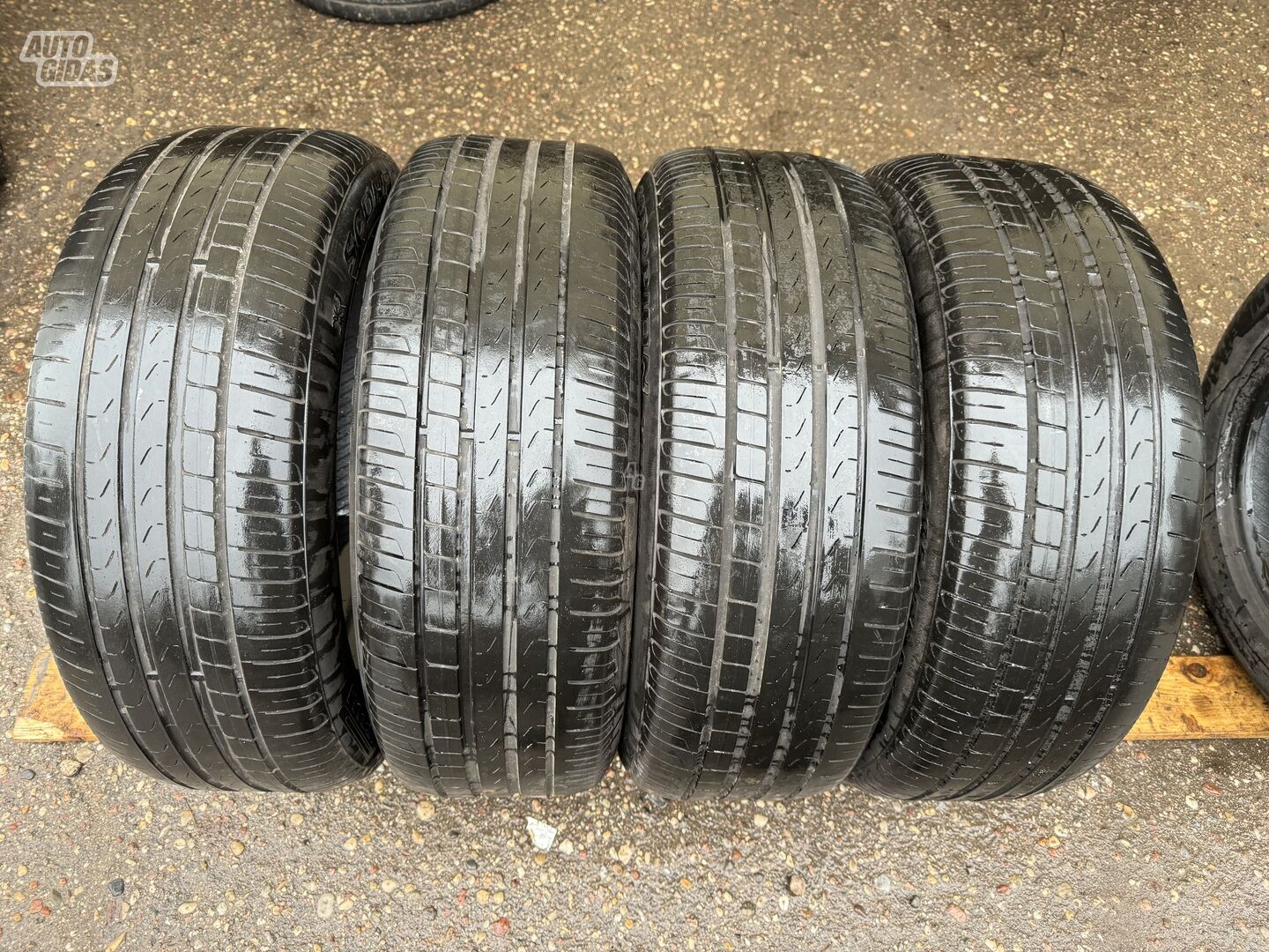Pirelli Siunciam, 5mm R19 summer tyres passanger car