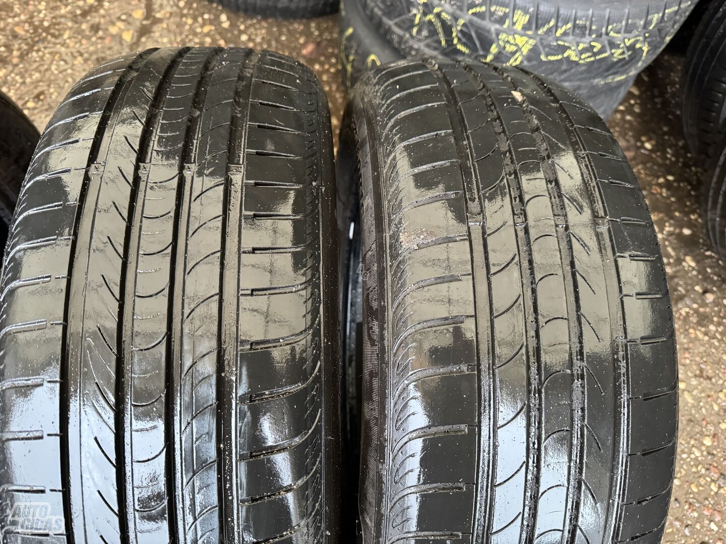 Nexen Siunciam, 6mm 2017m R16 summer tyres passanger car