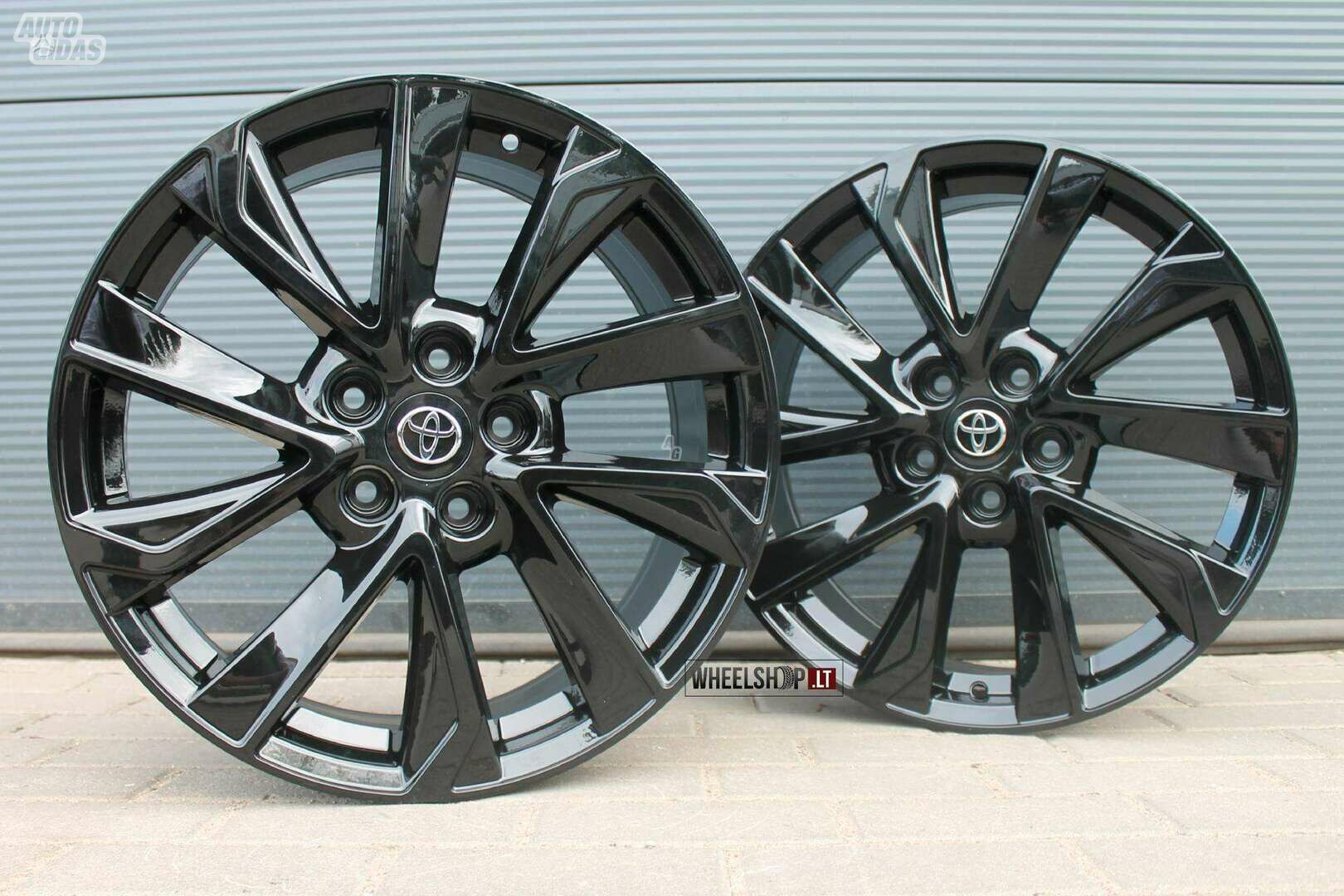 Hawk Style Gloss Black ratlankiai