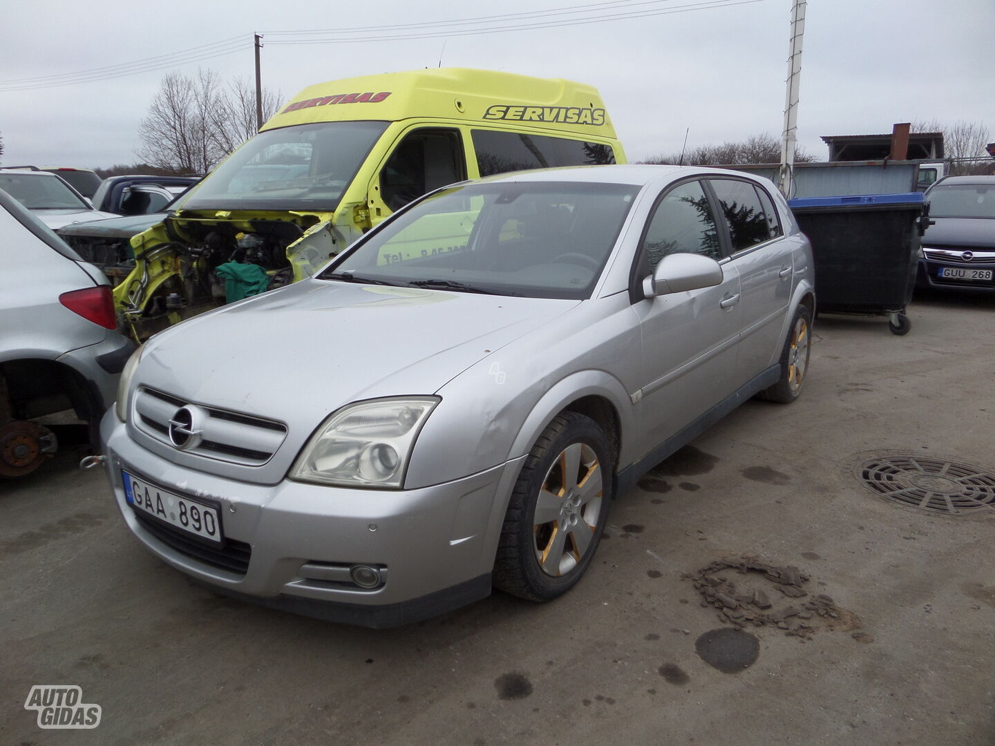 Opel Signum  6 begiu 2004 m dalys