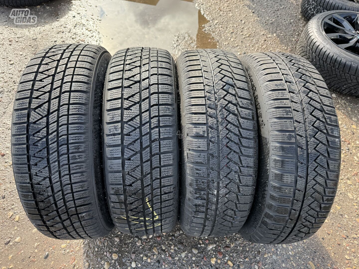 Continental Siunciam, 6-7mm 2019 R17 universal tyres passanger car