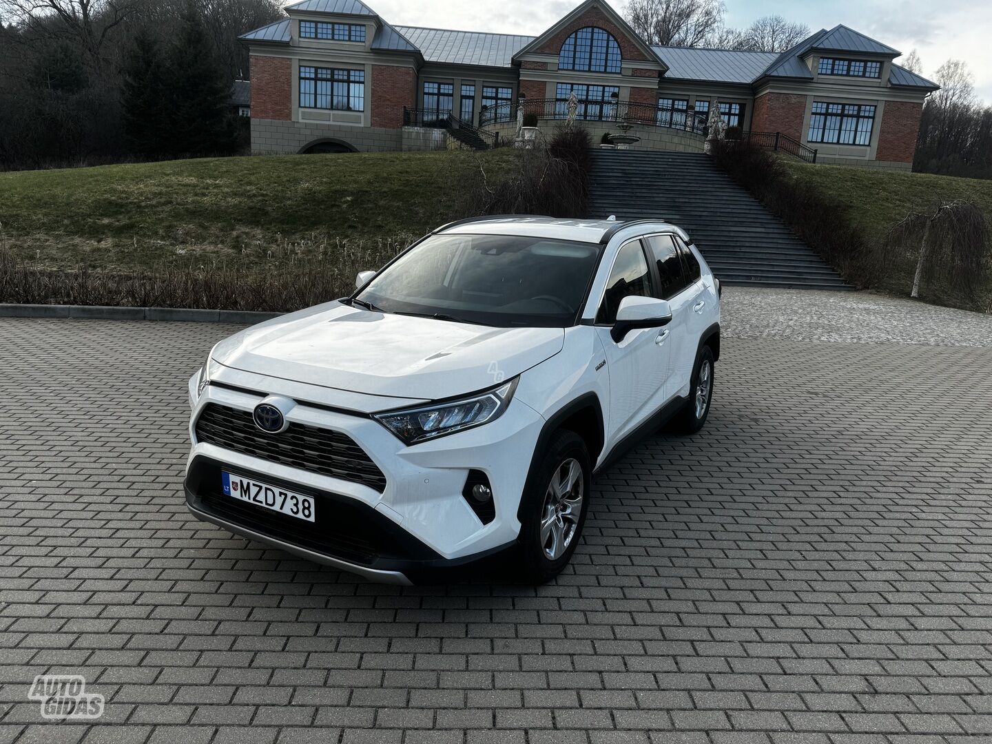 Toyota RAV4 2019 m Visureigis / Krosoveris