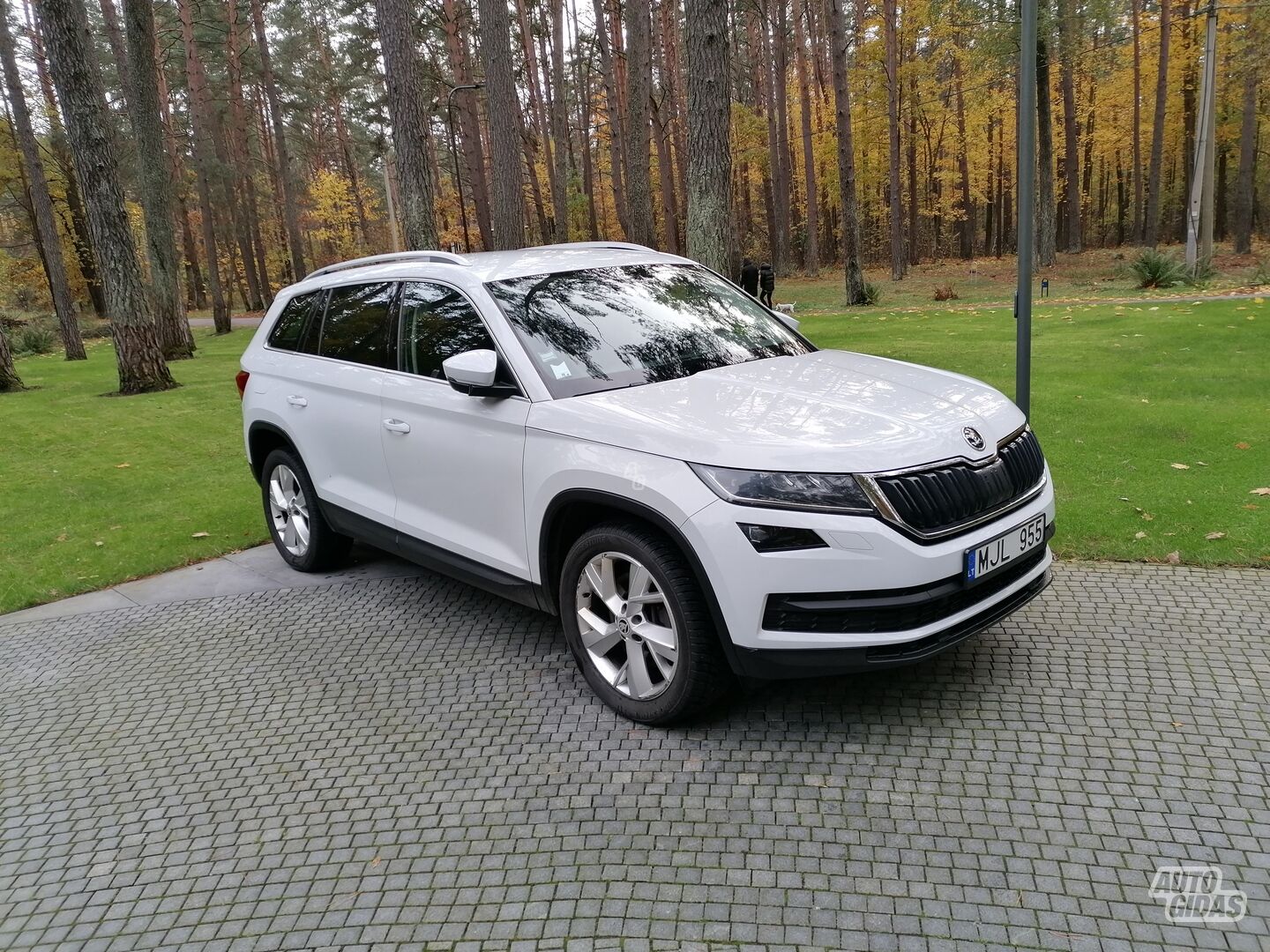 Skoda Kodiaq TDI 4x4 2017 г