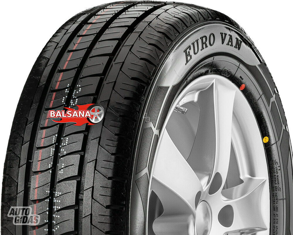 Fortuna Fortuna Euro VAN 10P R16 summer tyres passanger car