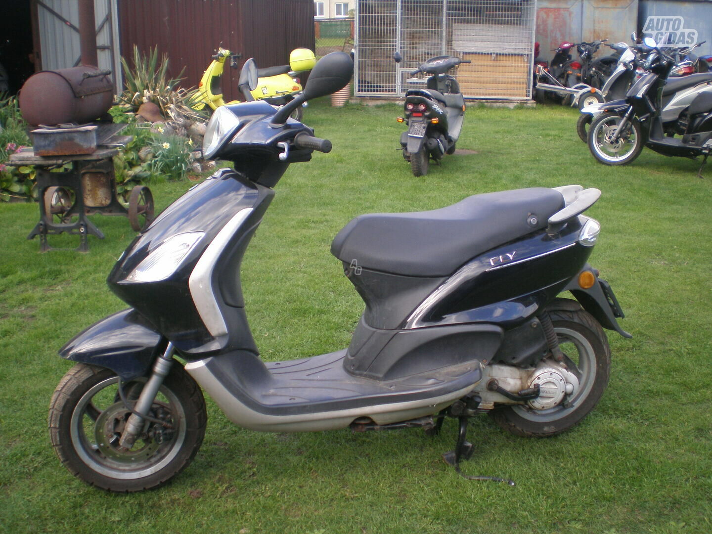 Piaggio FLY 2013 y Scooter / moped