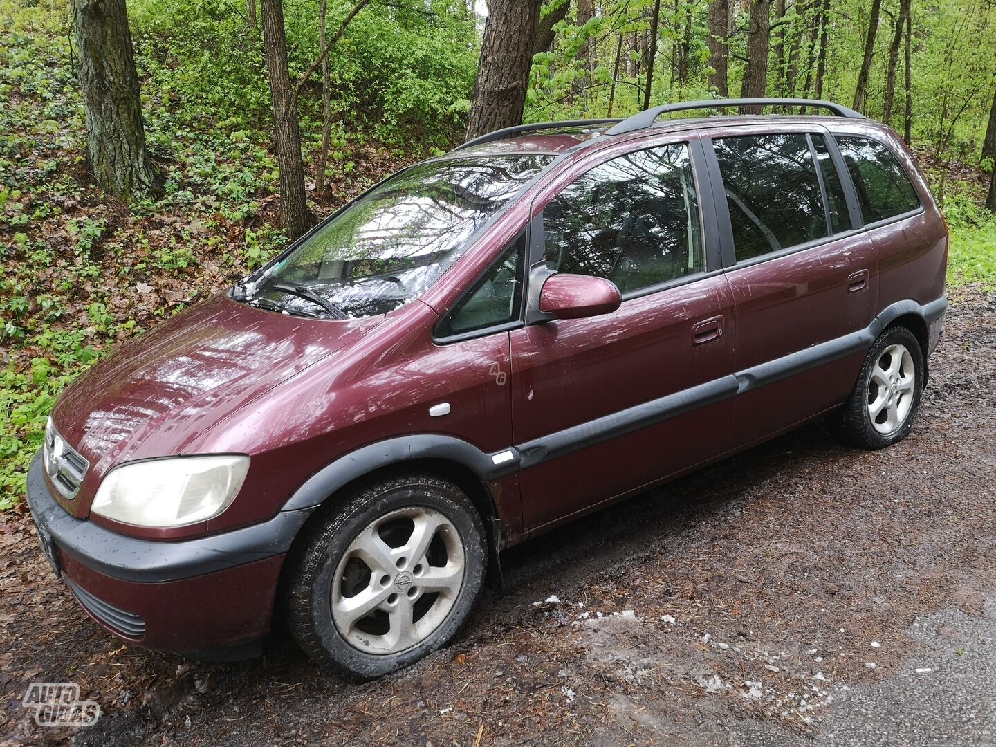 Opel Zafira 2004 y Van